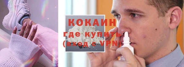 мдпв Гусев