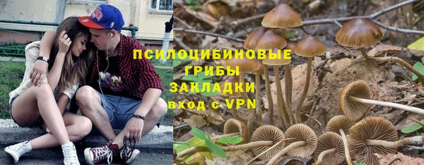 2c-b Гусиноозёрск