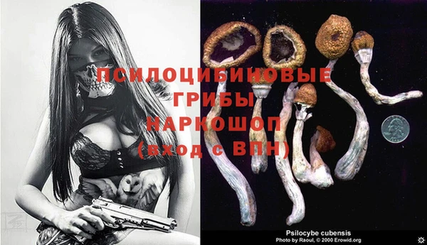 2c-b Гусиноозёрск