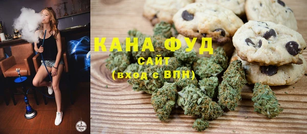 мдпв Гусев