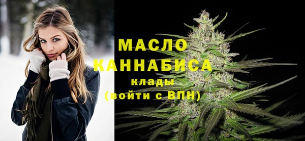 мдпв Гусев