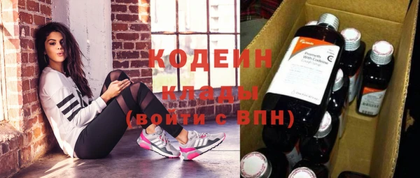 мдпв Гусев