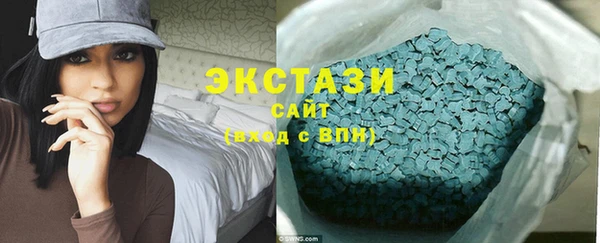 мдпв Гусев