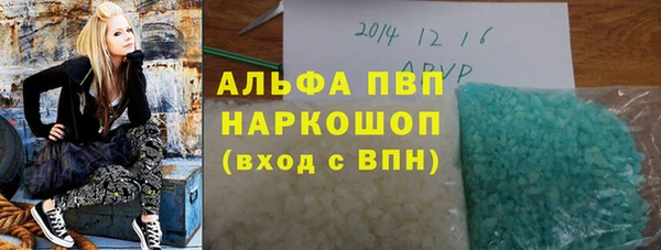 мдпв Гусев