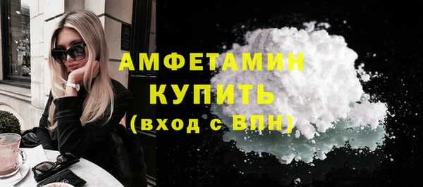 мдпв Гусев